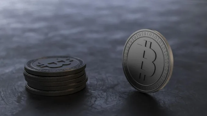bitcoin-3083578_1280 (1)
