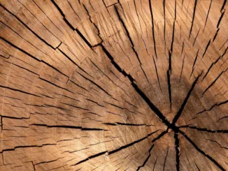lumber-84678_1280 (1)
