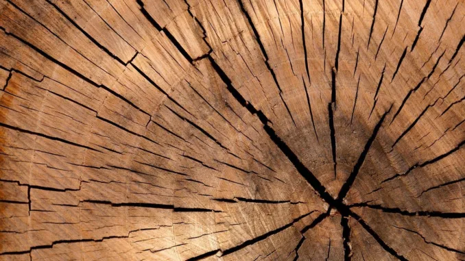 lumber-84678_1280 (1)