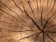 lumber-84678_1280 (1)