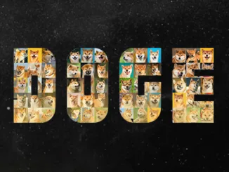 Doge