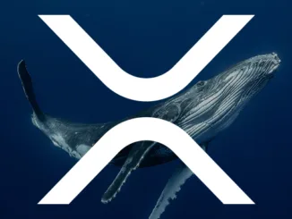 XRP whales