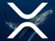 XRP whales