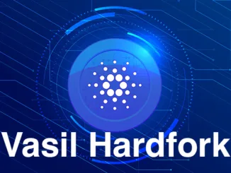 cardano Vasil