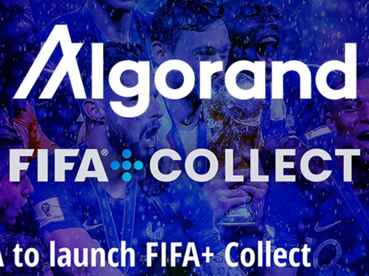 Algorand (ALGO): FIFA bringt vor Fußball-WM 2022 NFTs in die Blockchain –  Block-Builders.de