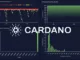 Cardano