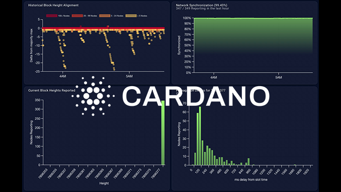 Cardano (ADA) Nach Upgrade Vasil – Das Hat Sich Geändert – Block ...