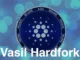 Cardano Vasil