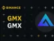 Binance GMX