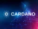 Cardano
