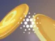 Cardano