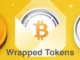 Wrapped Tokens