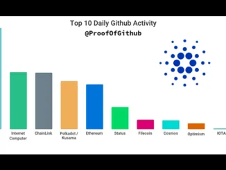 Github Activity