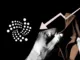 IOTA