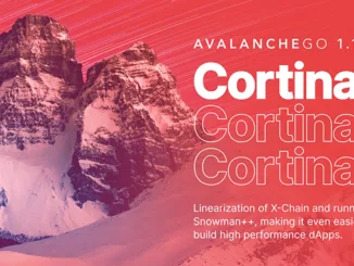Avalanche Cortina