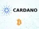 Cardano Bitcoin