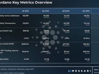 Cardano Key Metrics