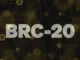 BRC-20