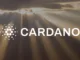 Cardano