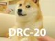 Dogecoin DRC-20