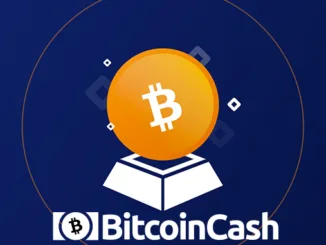 Bitcoin Cash
