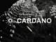 Cardano