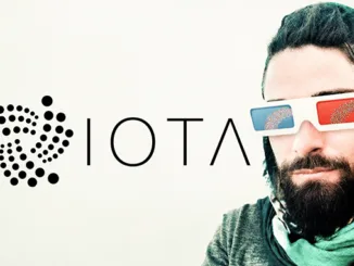 IOTA Hans Moog