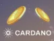 Cardano