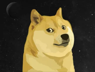 Doge