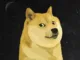 Doge