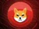 Shiba