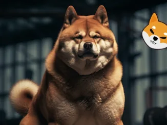 Shiba Inu Layer 2