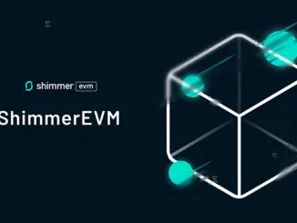 Shimmer evm