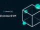 Shimmer evm