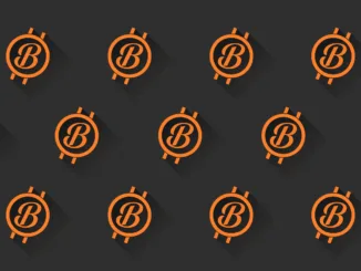 bitcoin-1923207_1280 (1)