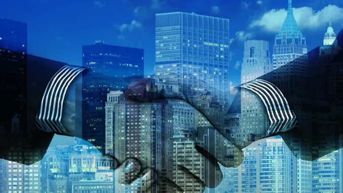 social trading