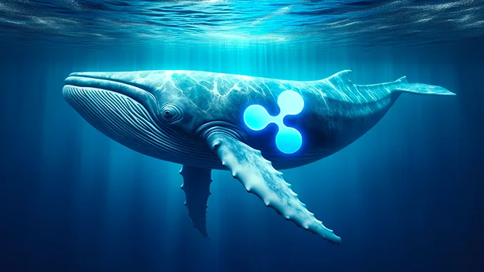 Ripple XRP whale