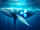 Ripple XRP whale