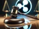 Ripple case
