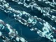 blockchain-3750157_1280 (1)