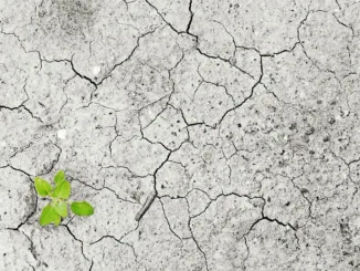 climate-change-1325882_1280 (1)