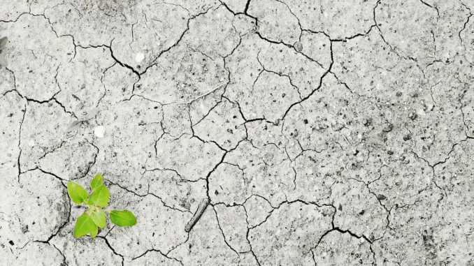 climate-change-1325882_1280 (1)