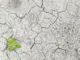 climate-change-1325882_1280 (1)
