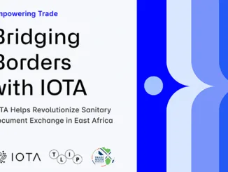 IOTA Bridges