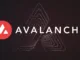 Avalanche Meme coins