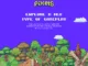 Pixels