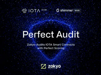 IOTA EVM Audit