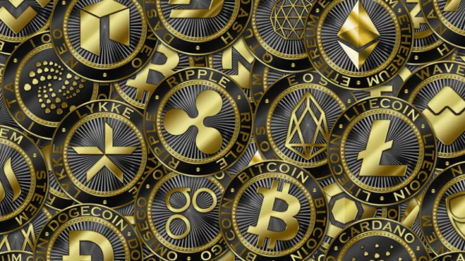 Kryptowaerrung_B179061572_maloha13-e1553525436268-980×490