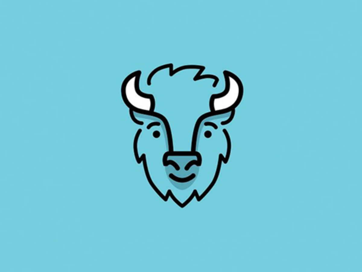 Bison App: Mehr als ein Tag lang kein Login möglich – Kunden wütend –  Block-Builders.de