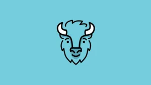 Bison App